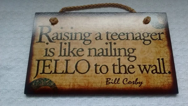 Wooden Sign Humor, Proverbs, Cosby Made in USA